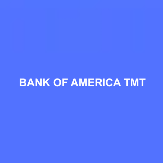 Bank of America TMT Overview and Interview Questions TMT Banking