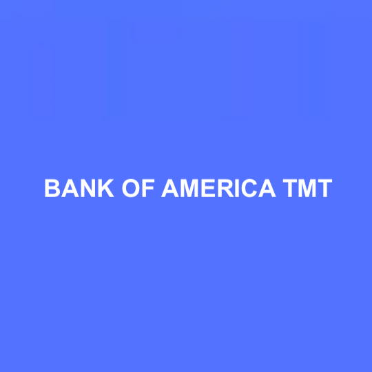 Bank of America TMT: Overview and Interview Questions